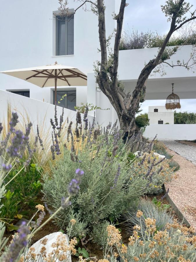 Casa Di Amerissa Premium Accommodation 斯基罗斯岛 外观 照片